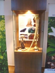 Muzeul de Științele Naturii a deschis „Enciclopedia naturii”